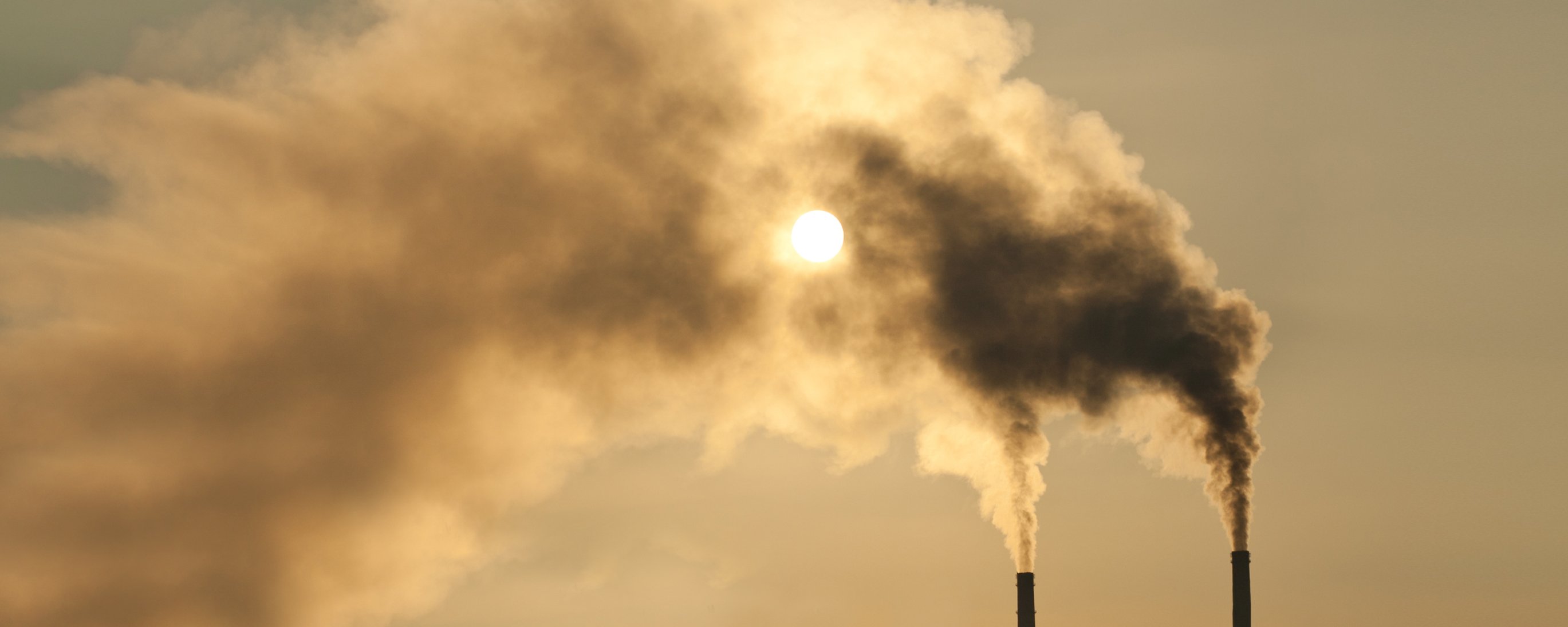 Can Companies' Carbon Emissions Affect Their Stock Performance?  