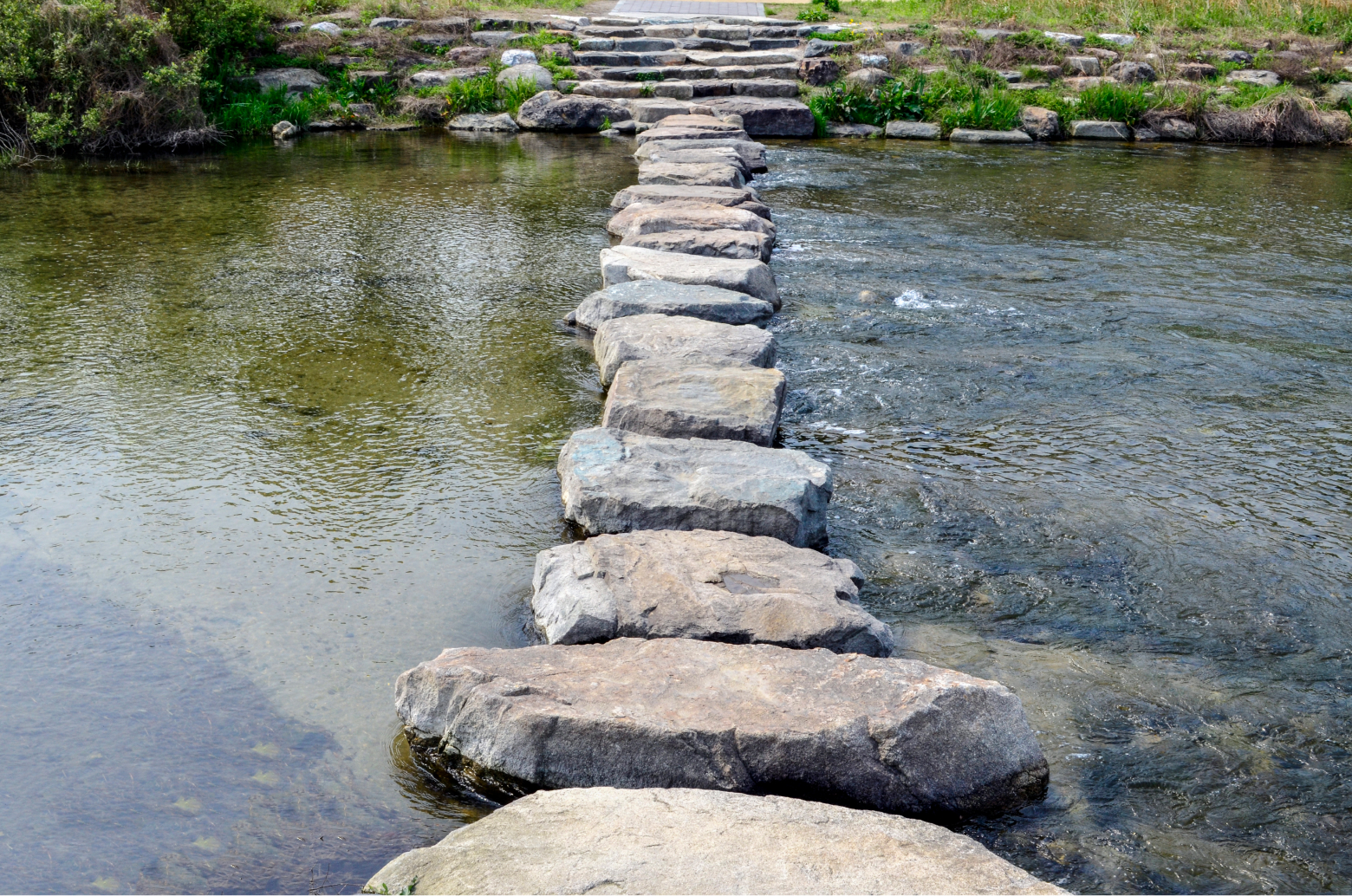 Stepping stones cross a shallow creek