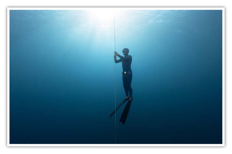 bio-trey-freediving